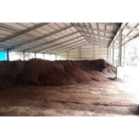 Selbst produzierter Bio-Kompost zur Düngung der Teefelder